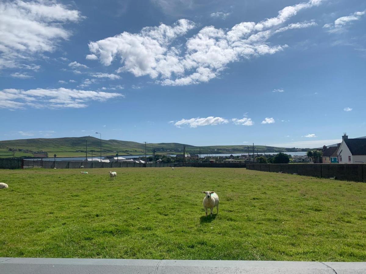 Seaview Heights Bed and Breakfast Dingle Buitenkant foto
