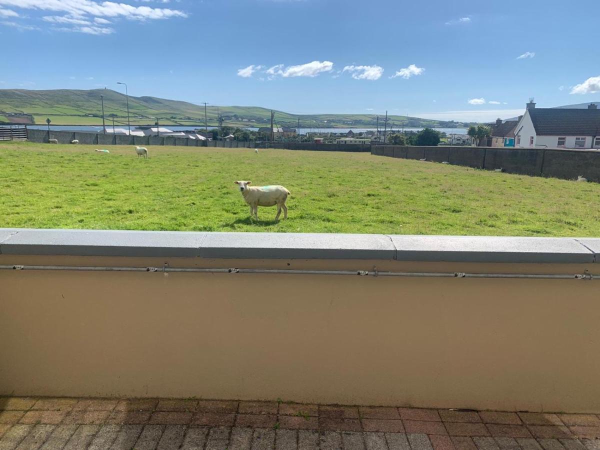 Seaview Heights Bed and Breakfast Dingle Buitenkant foto